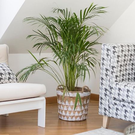Apartamento Boutique Con Terraza Y Vistas Al Mar. Porto Vilanova Vilanova de Arousa Exterior foto